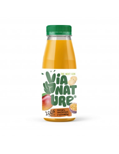 Refrig zumo 5 frutas con ginseng y guaraná 250ml