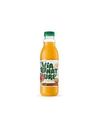 Refrig zumo 5 frutas con ginseng y guaraná 750ml