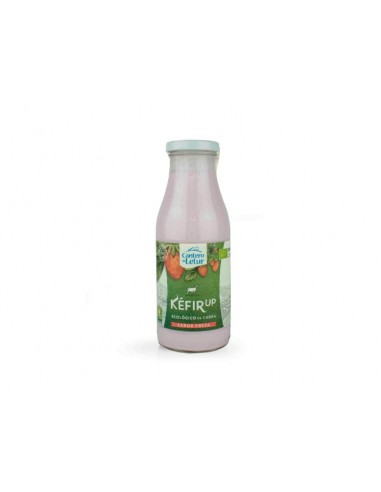 Refrig kéfir up de cabra fresa  BIO 500ml