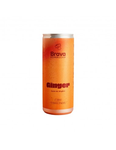 Refrig brava ginger 250ml