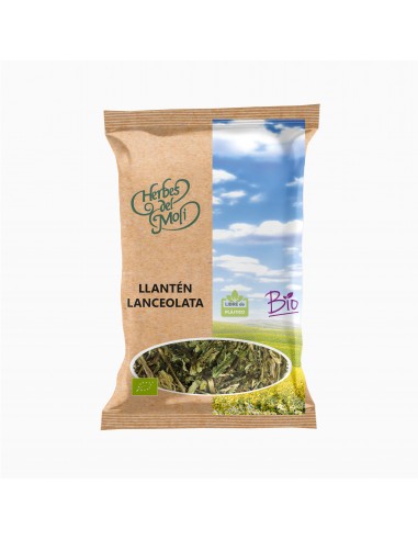 Bolsas de llantén lanceolata hojas ECO 30g