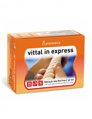 Vittal in express 20 viales