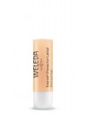 Protector  labial everon 4.8gr.