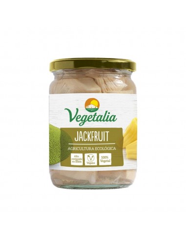 Jackfruit ecologico bote vidrio 500 gr